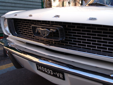 Mary Stevens Hospice Car Show