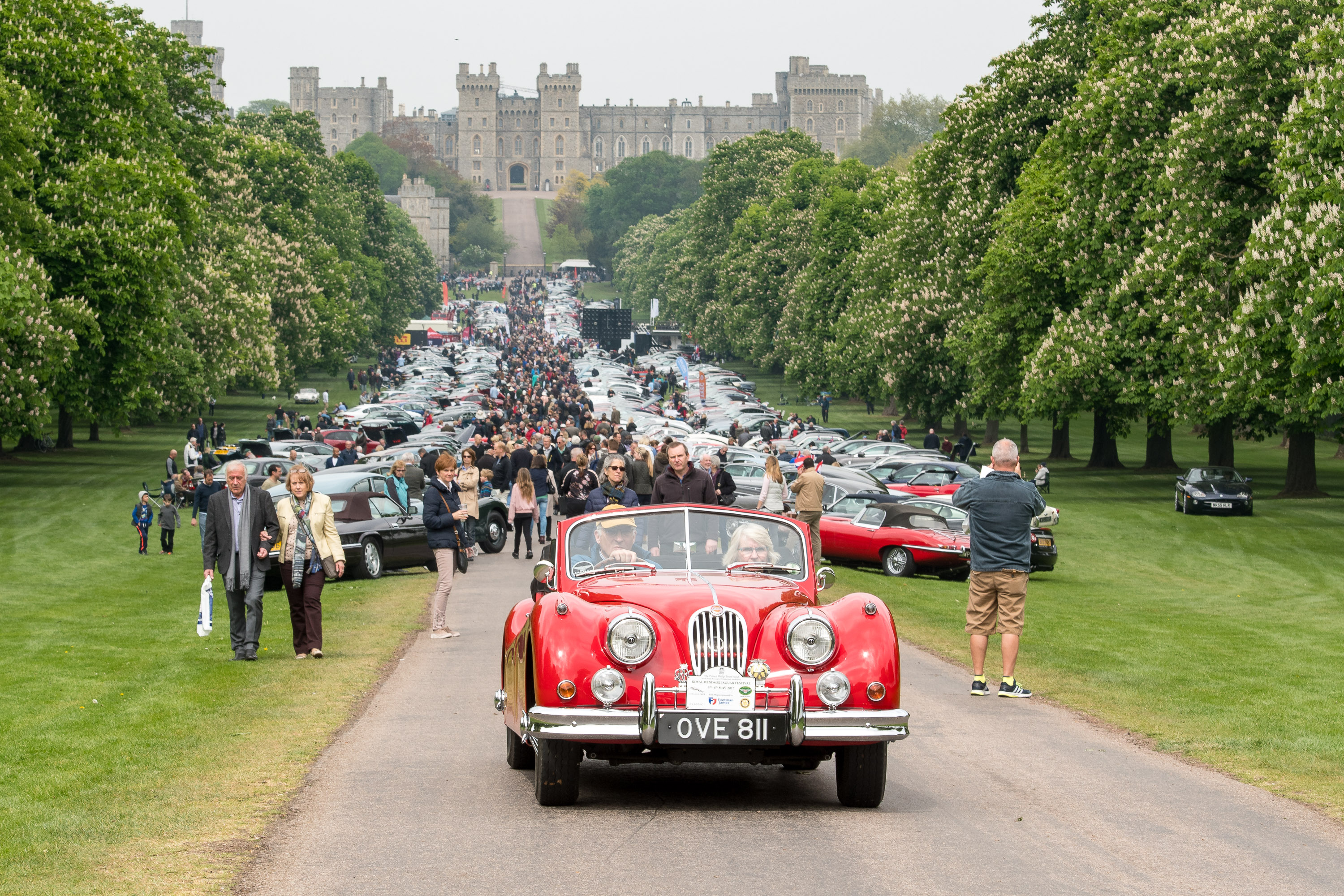 Crowd at the Royal Windor Jaguar Festival