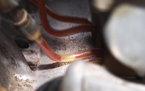 Air bubbles in an oil oil