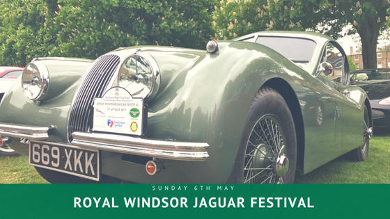 Royal Windsor Jaguar Festival