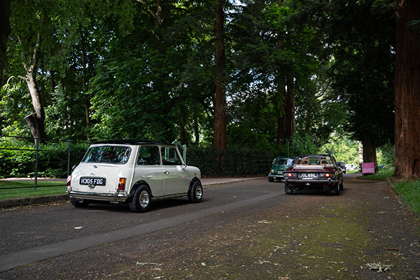 Classic Cars Driving Down a Tree Lined Road