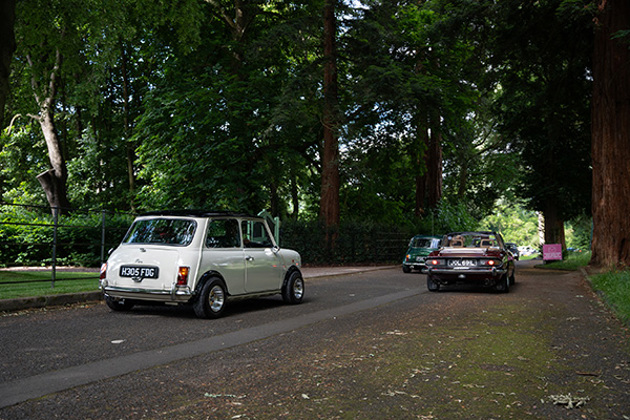 classic-cars-driving-down-tree-lined-road