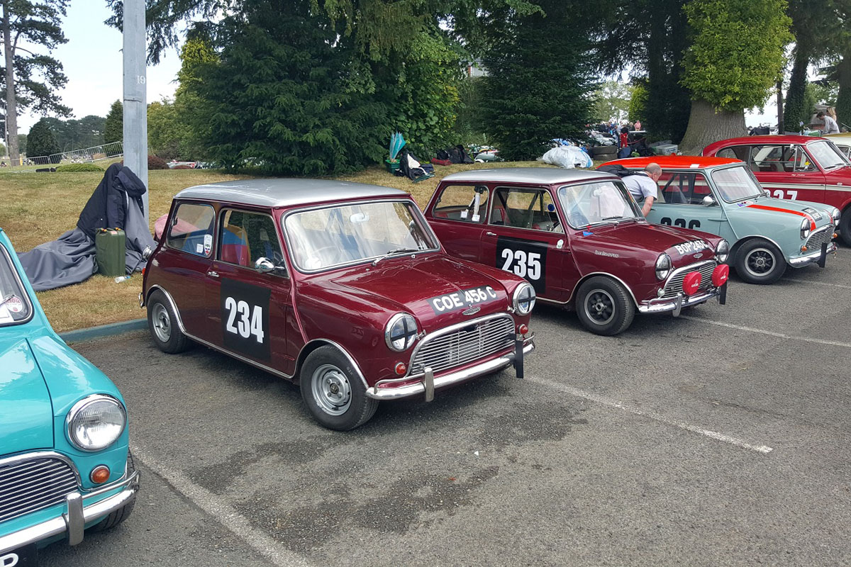 Classic Mini convoy