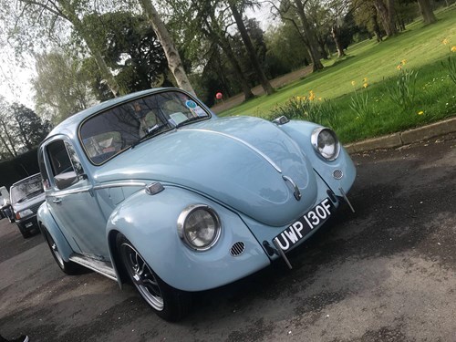 beetle-drive-day