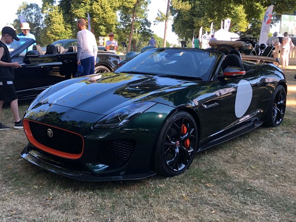 jaguar-project-7