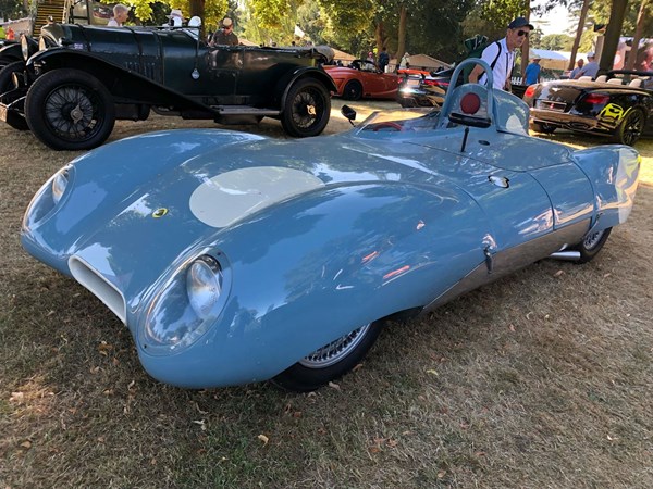 lotus-11