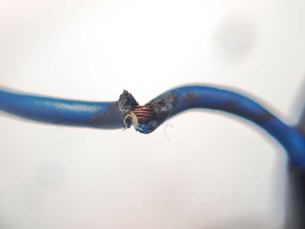 Damaged blue wire