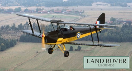 tiger-moth