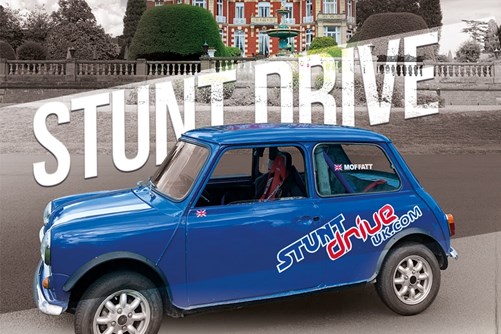 mini-stunt-driver