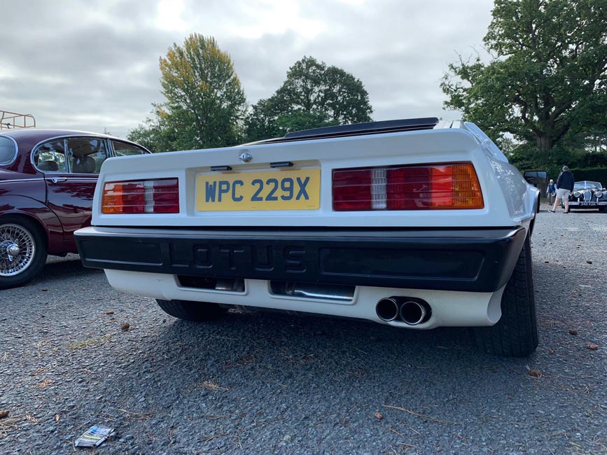 Back of 1982 Lotus Turbo Esprit