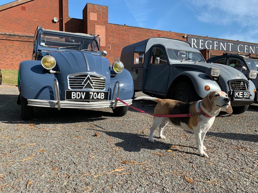 Citroen 2CV AZAM featuring Beagle