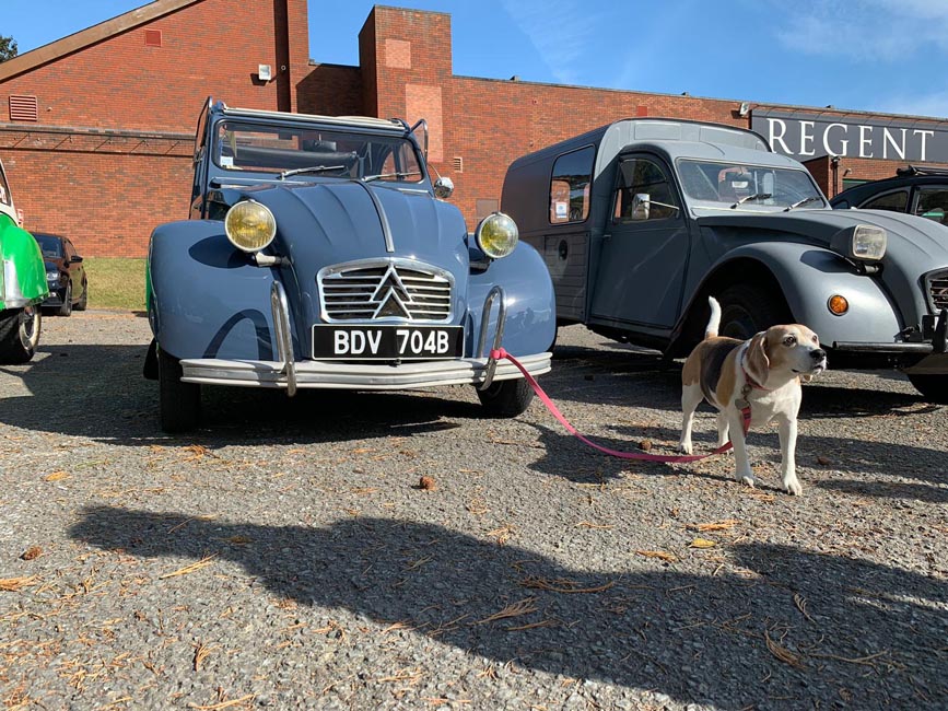 Citroen 2CV with beautiful Beagle