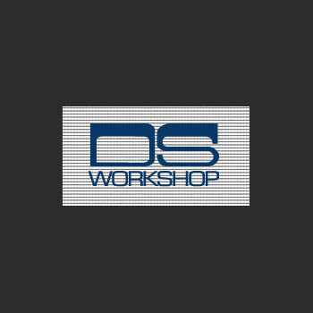 D S Workshop