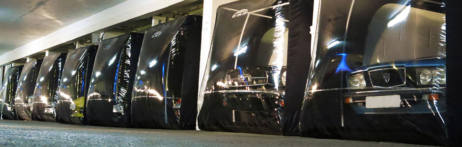 Car Vault's Carcoons
