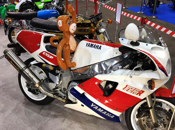 Monkey riding a Yamaha