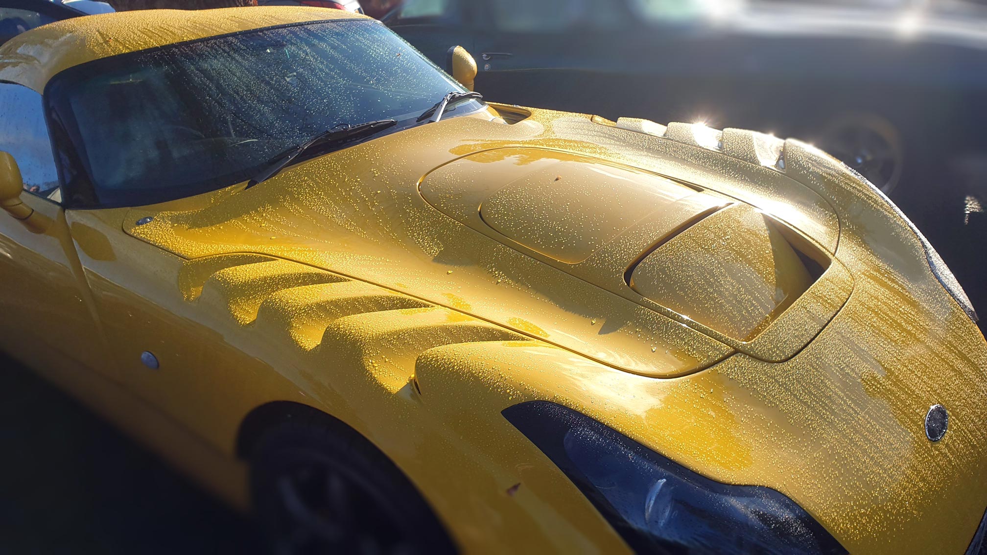 Yellow TVR sports car hood with sunlight