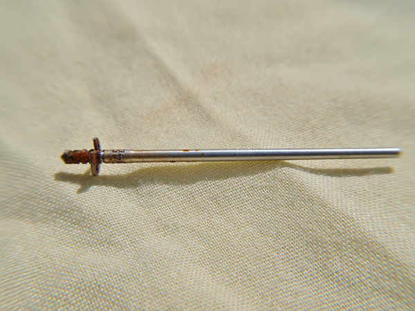 Rusty needle