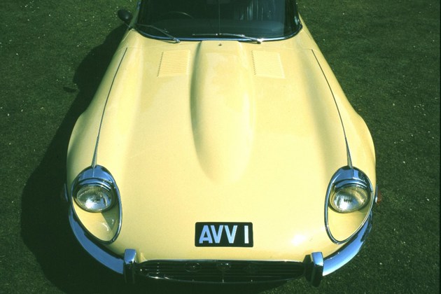 e-type-professional-picture