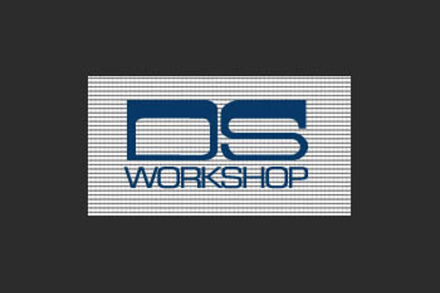 D S Workshop