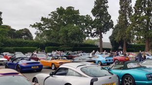 car-facts-disc-banner