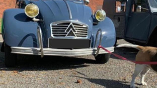 national-pet-month-banner