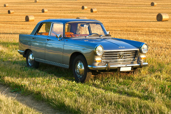 Dark Gray, 1960 to 1975, Peugeot 404 In A Harvested Corn Field