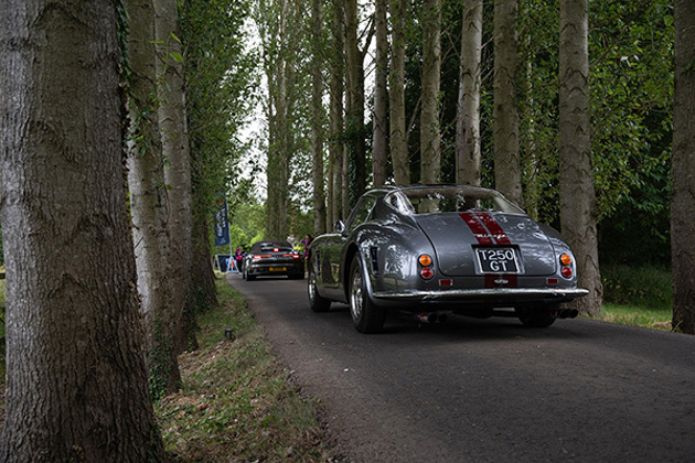 grey-ferrari-250-driving-in-a-forest