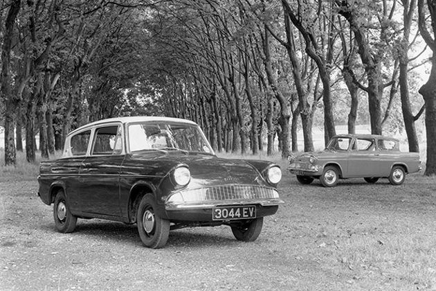 monochrome-two-1960s-ford-anglias-105e-parked-on-grass-with-two-parallel-rows-of-trees