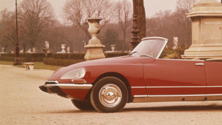 copy-of-blog-banner-template-15