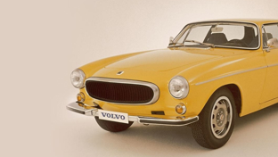 shooting-break-banner (2)