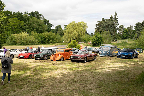 3 Rows Of Classic Cars On Grass With A Backdrop Of Trees And People Wandering Among Them