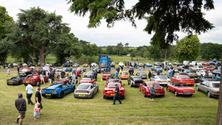 rows-of-classic-and-sports-cars-and-the-front-part-of-a-lorry-on-grass-with-trees-as-a-backdrop-and-people-walking-amoung-them