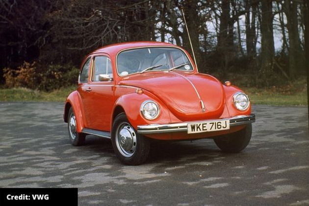 beetle-content-image